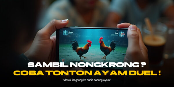 Membedah Sabung Ayam SV388: Jenis Ayam, Odds, dan Keunggulannya