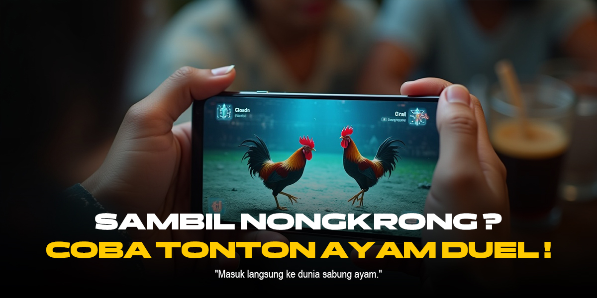 Membedah Sabung Ayam SV388: Jenis Ayam, Odds, dan Keunggulannya