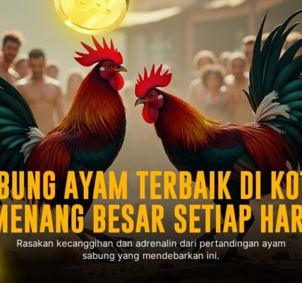 SV388, Raja Sabung Ayam Online dengan Odds Terbaik
