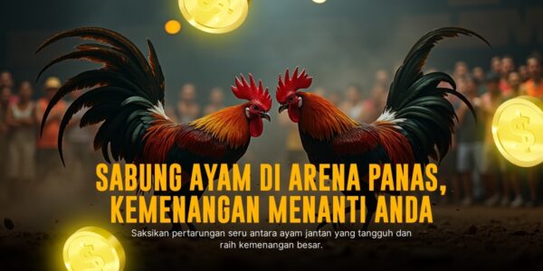 Mengenal Sabung Ayam SV388: Adu Ayam Modern dengan Odds Menarik
