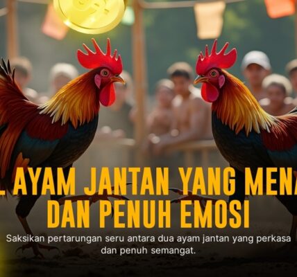 Mengenal Ayam Aduan Jenis Bangkok dan Odds di SV388