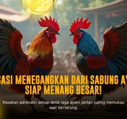 Mengenal Jenis Ayam Aduan Unggul di SV388 Sabung Ayam