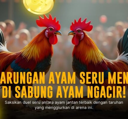 Mengenal Jenis Ayam Aduan Sabung Ayam SV388 yang Paling Populer