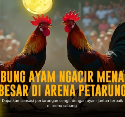 Menyelami Dunia Sabung Ayam SV388: Jenis Ayam, Odds, dan Keunikan Provider