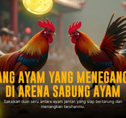 Mengenal Jenis Ayam Aduan Paling Populer di SV388
