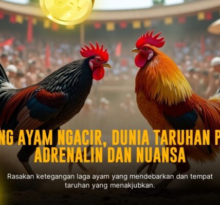 SV388 Sabung Ayam: Panduan Lengkap Jenis Ayam dan Taruhan Odds