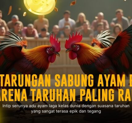 Mengenal Jenis Ayam Aduan di Sabung Ayam SV388