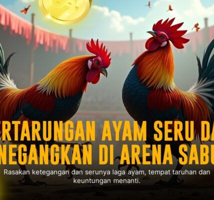 Mengenal Ayam Bangkok: Raja Sabung Ayam SV388